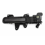 Right Rear Door Handle