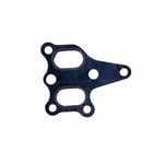 Water Pump Gasket