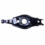 Rear Left Lower Control Arm