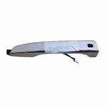 Right Front and Rear Door Handle, Chrome
