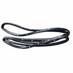 Rear Right Door Weatherstrip Seal