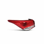 Rear Left Corner Light