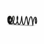 Rear Coil Springs