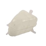 Radiator Reservoir