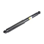 shock absorber R