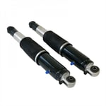 Rear Shock Absorber
