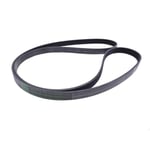 Engine Belt