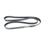 Engine Belt