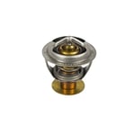 Thermostat Valve