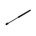 Bonnet Struts
