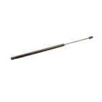 Left Hood Strut