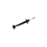 Front Shock Absorber