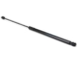 Right Trunk Strut