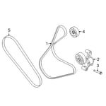 Engine Belt