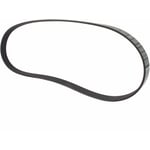 Engine Belt