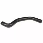 Upper Radiator Hose