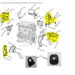Engine and Transmission Mount Kit