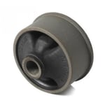 Front Lower Control Arm Bushing