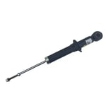 Rear Shock Absorber