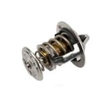 Thermostat Valve