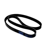 Dynamo Belt