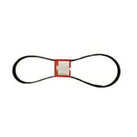 Engine Belt