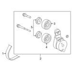 Compressor Belt