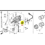 Oil Seal