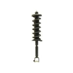 Rear Left Shock Absorber
