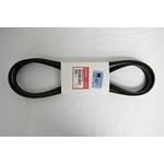 Steering Belt