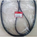 Compressor Belt
