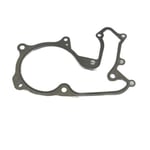 Water Pump Gasket