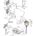 Rear Engine Seal
