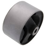 Rear Engine Mount