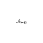 Valve Seals