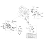 Water Pump Gasket