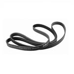 V-RIBBED BELT
