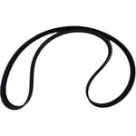 BELT V