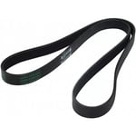 Water Pump Belt