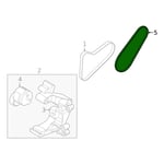 Water Pump Belt