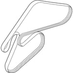 Dynamo Belt