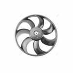 Fan Blade