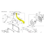 Hose Assembly-Radiator, Lower