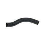 HOSE-RADIATOR,UPPER