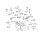 Upper Radiator Hose
