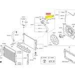 Upper Radiator Hose