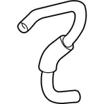 Lower Radiator Hose