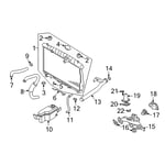 Lower Radiator Hose