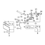 Lower Radiator Hose