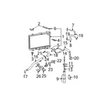 Lower Radiator Hose